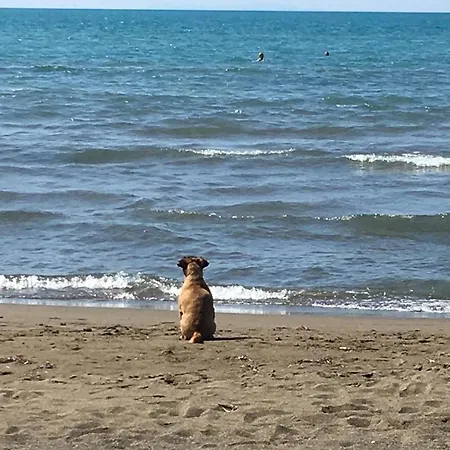 Apartment Appartamento Sul Mare Donoratico